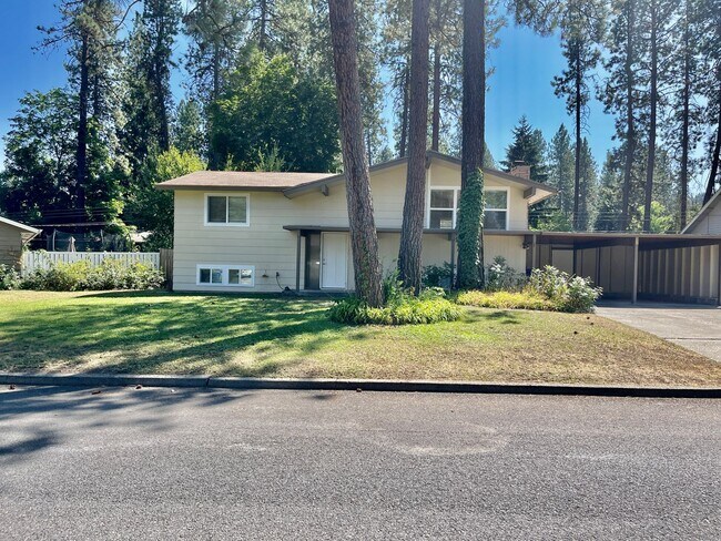Building Photo - New on the Market!