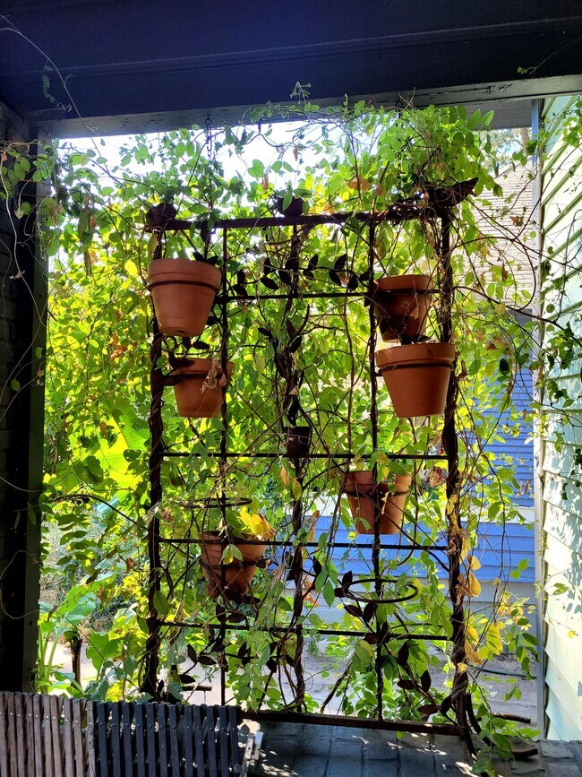 Building Photo - 1952 Court Ave