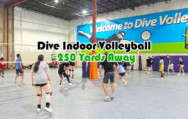 Indoor Volleyball - 3871 Harrison St