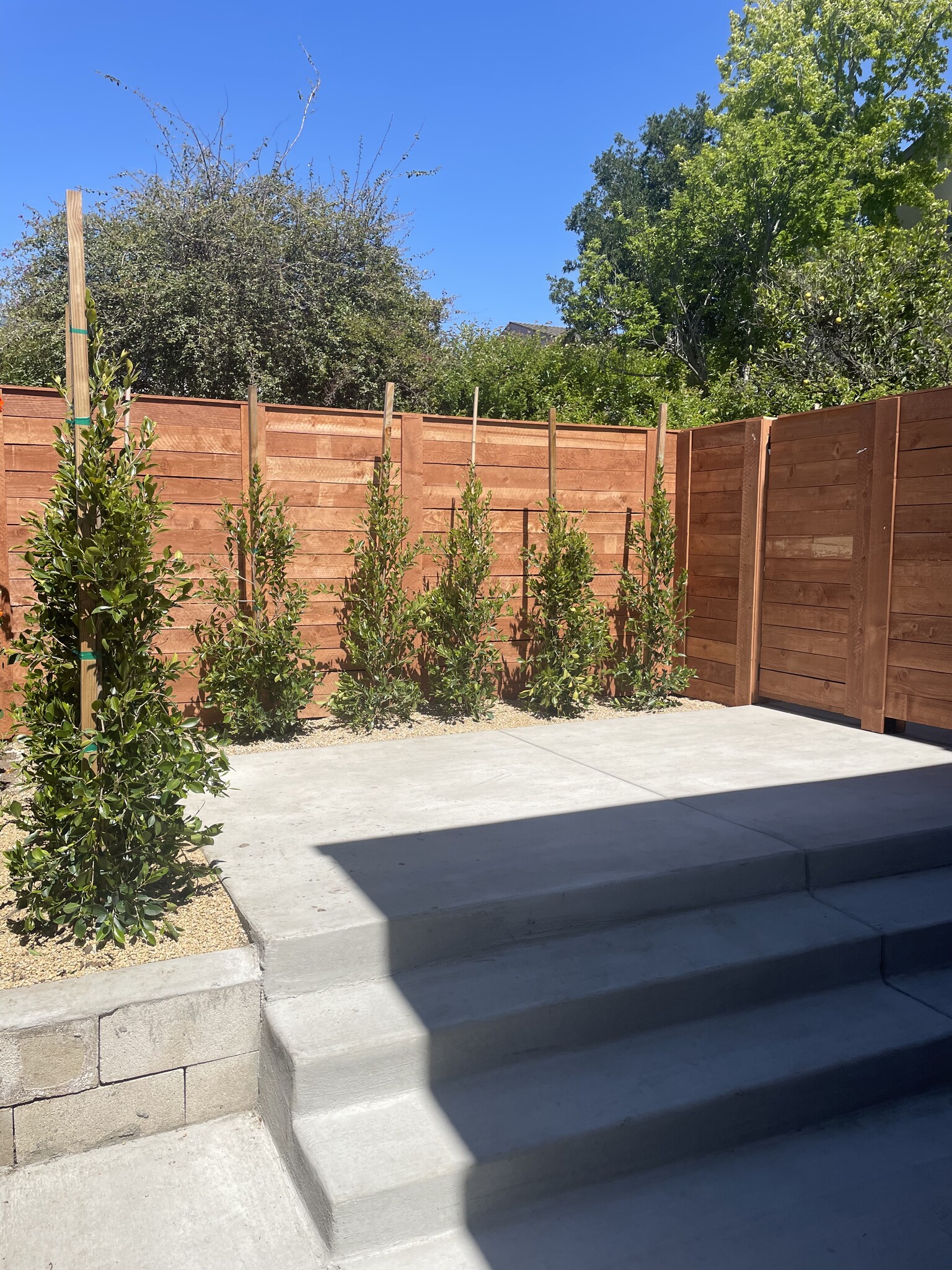 Private Patio - 680 Morro St