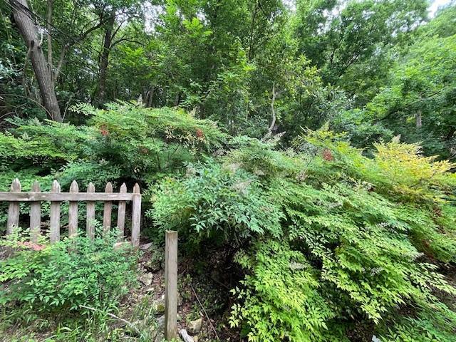 Building Photo - 8808 Mountain Ridge Dr