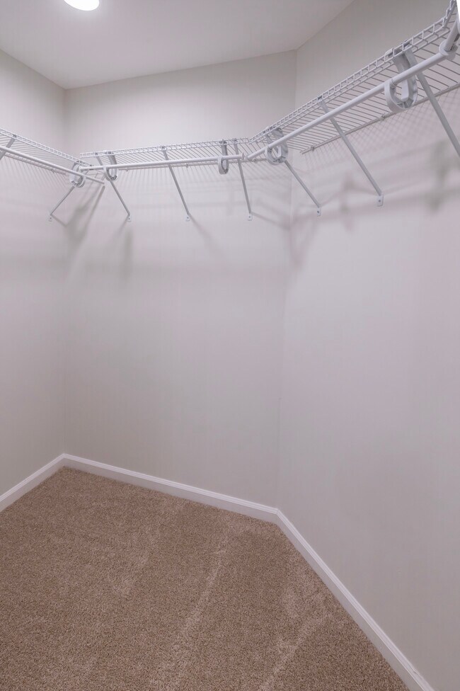 Building Photo - 11508 Quiet Pine Ct