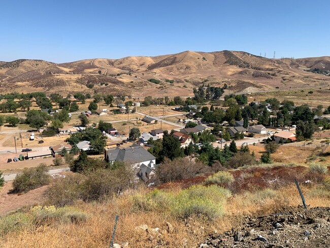 Building Photo - 14425 Hardtree Dr