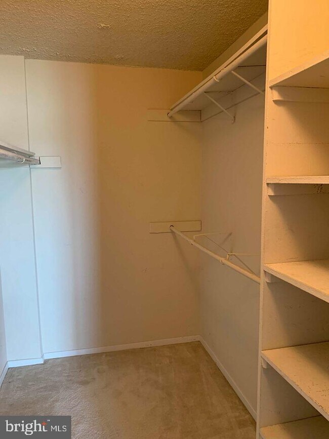 Building Photo - 4500 S Four Mile Run Dr