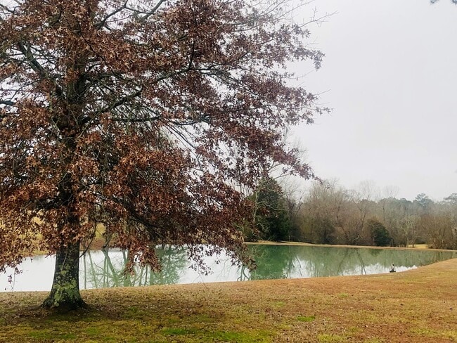 Building Photo - SINGLE FAMILY HOME