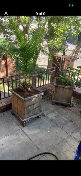 Building Photo - 507 S Anaheim Blvd