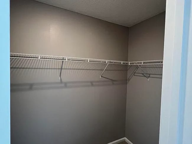 Building Photo - 6 Bedrooms 4 Bathroom 1672 Hammock Grove Lane