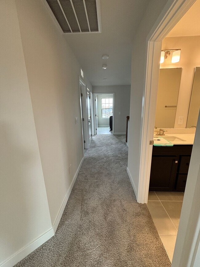 Building Photo - Luxury- New Construction