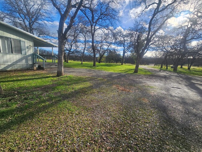 Building Photo - Spacious Home in the Country!