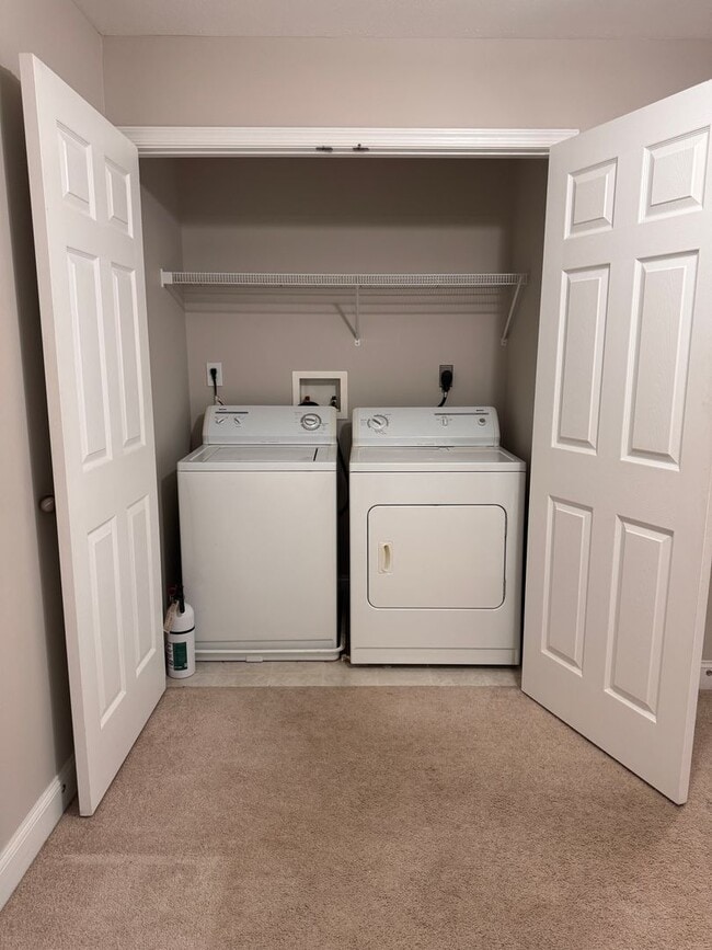 Building Photo - 3 Bedroom || 2 Bathroom Main Level Apartme...