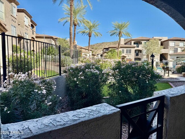 Building Photo - 3236 E Chandler Blvd