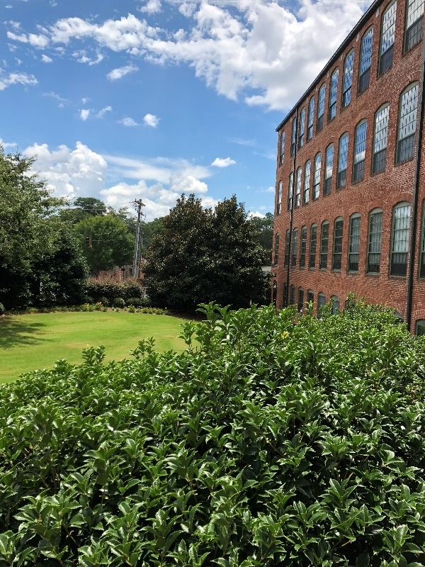 Building Photo - 400 Mills Ave