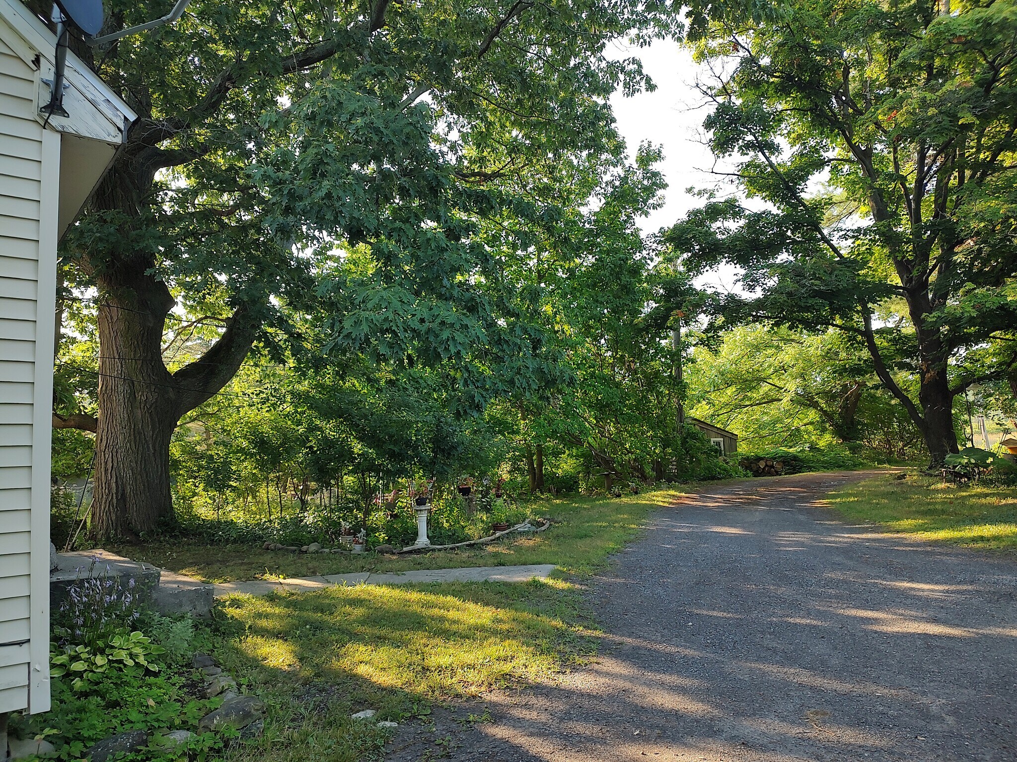 View of road from front step. - 1314 Blakeley Rd