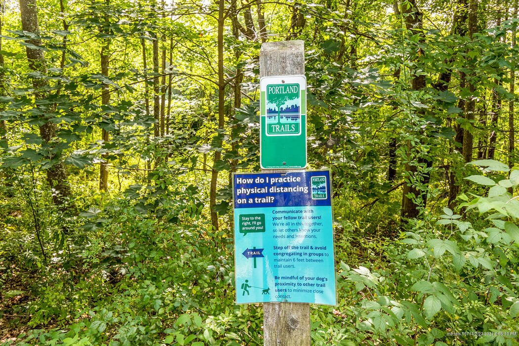 Nature Trail - Close to Property - 175 Woodlawn Ave