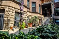725 S. Loomis - Main Entrance - Harris Point Chicago