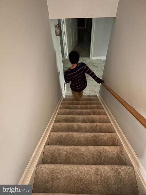 Building Photo - 1509 Snughill Ct