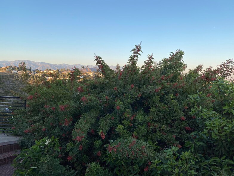 Building Photo - 2118 Kew Dr