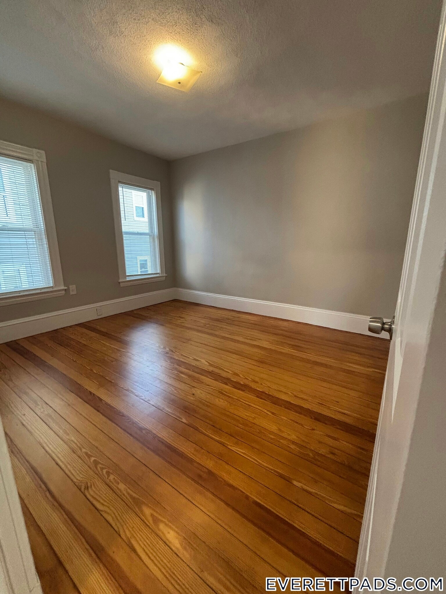 Building Photo - 85 Swan St