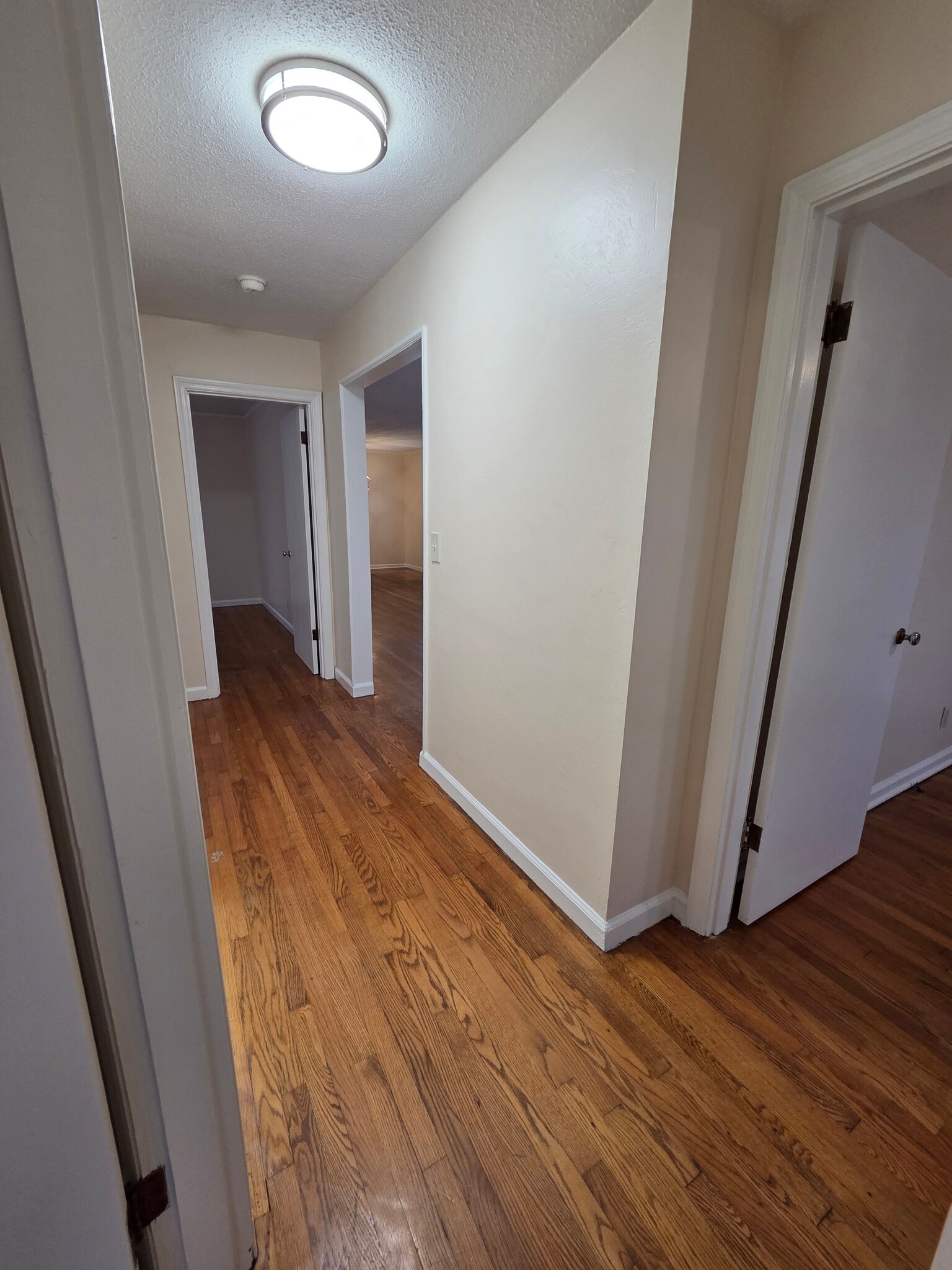 Building Photo - 3350 Black Oak Cir