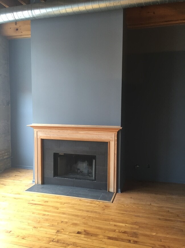 Fireplace - 3201 N Seminary Ave
