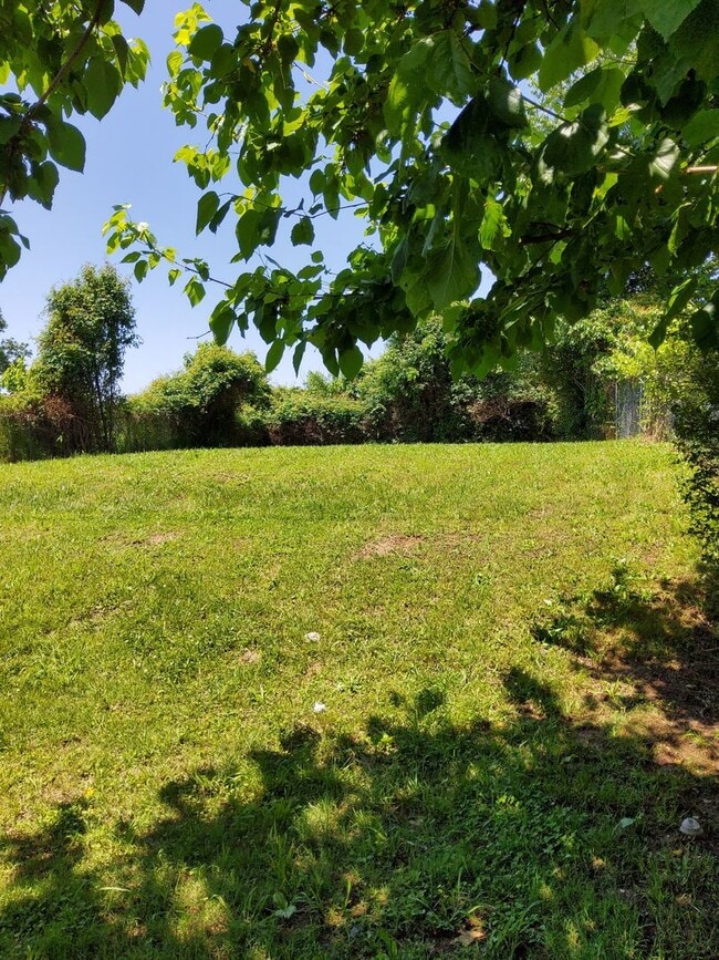 Building Photo - 3677 Hillbrook Rd