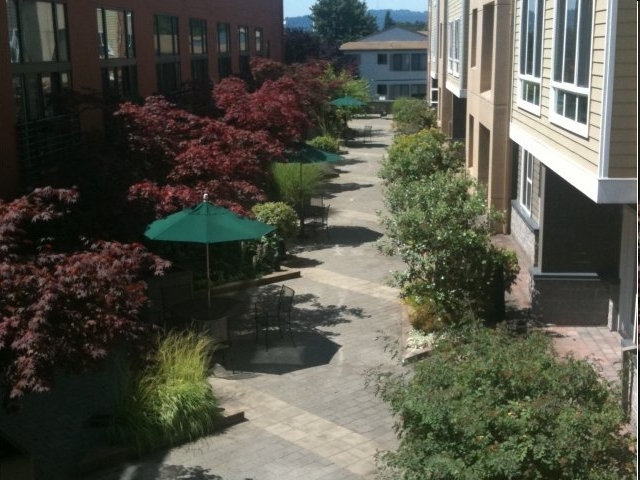 Primary Photo - Belmont Dairy Apartments and Lofts