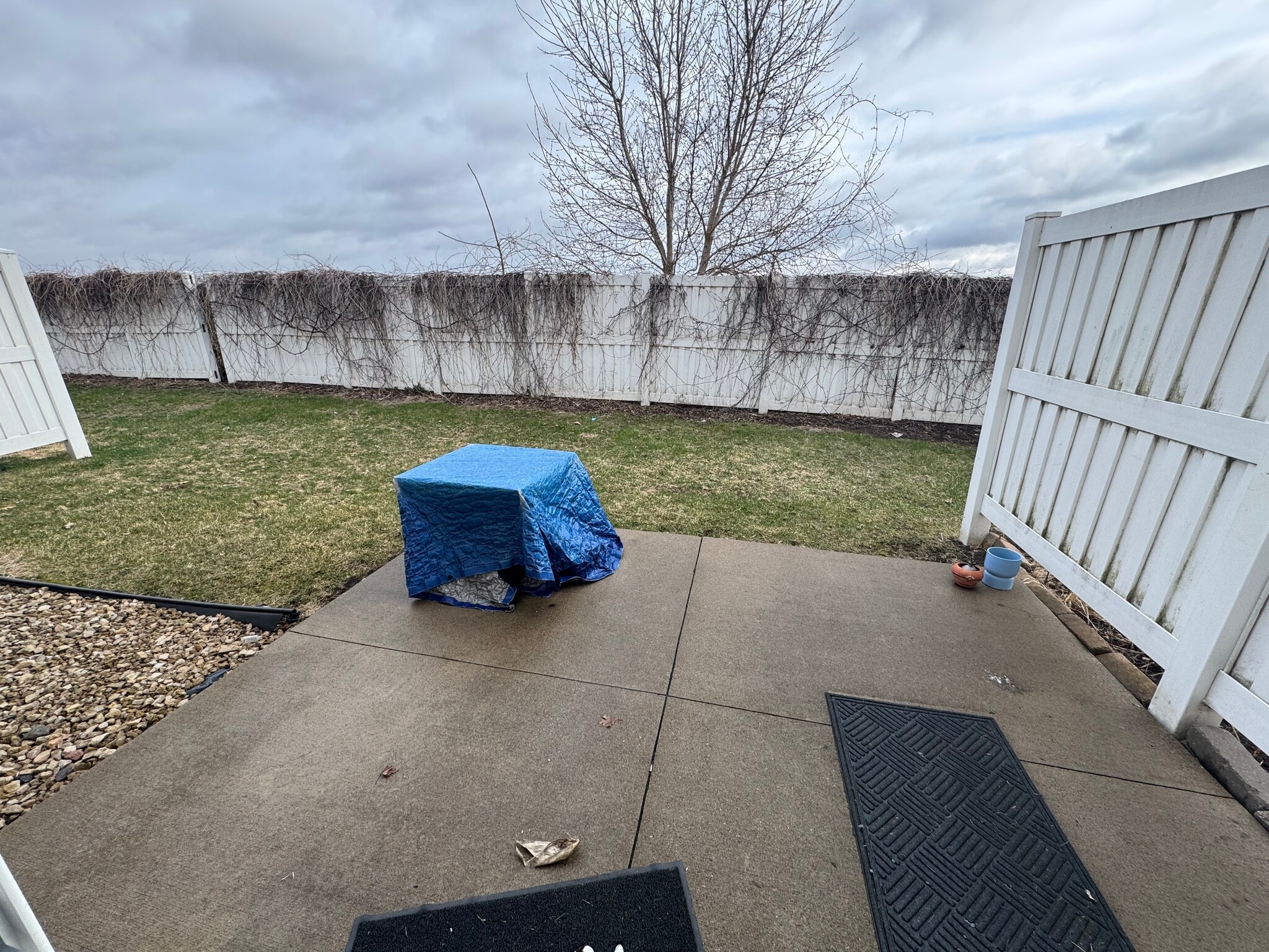Patio - 2156 Willow Trail