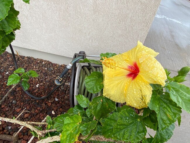 Building Photo - Elegant 3-Bedroom Home at Makai Vista Gated Community – Waikoloa