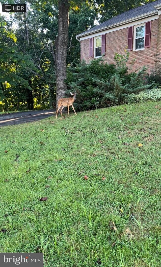 Building Photo - 6015 Bitternut Dr