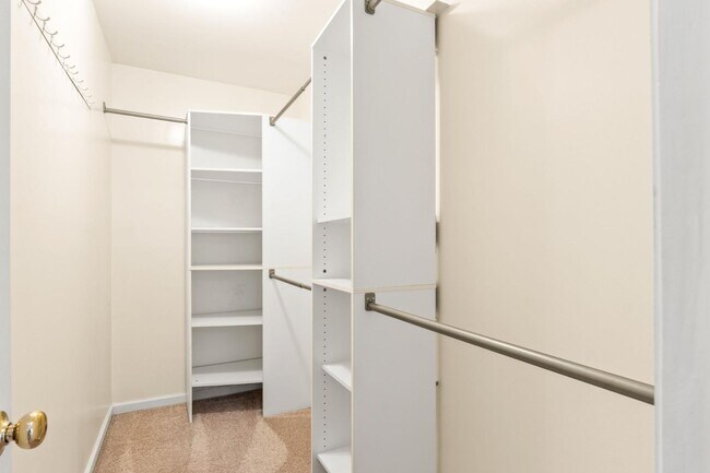 Building Photo - 129 Towering Pine Dr