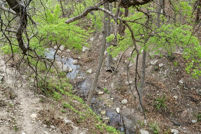 Building Photo - 107 Cascading Water Pl