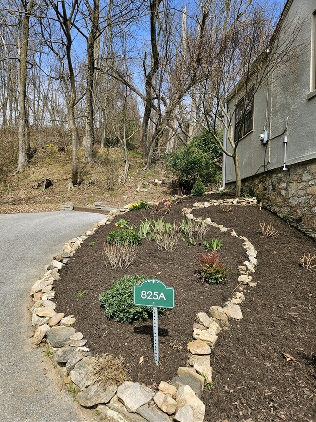 Building Photo - 825 Creek Rd