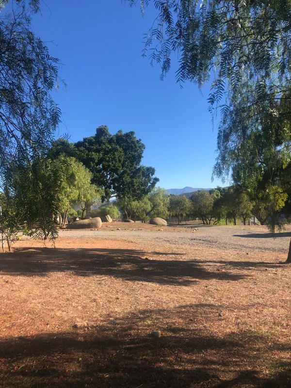 Building Photo - 9874 Chocolate Summit Dr