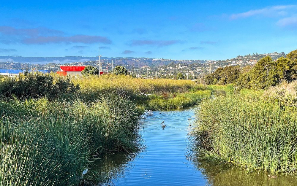 Vistas throughout neighborhood central to work hubs - 86 Pelican Ln