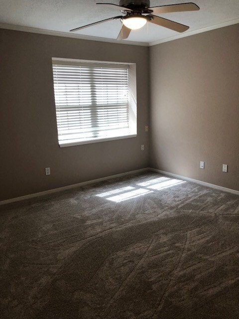 Building Photo - 7350 Kirby Dr