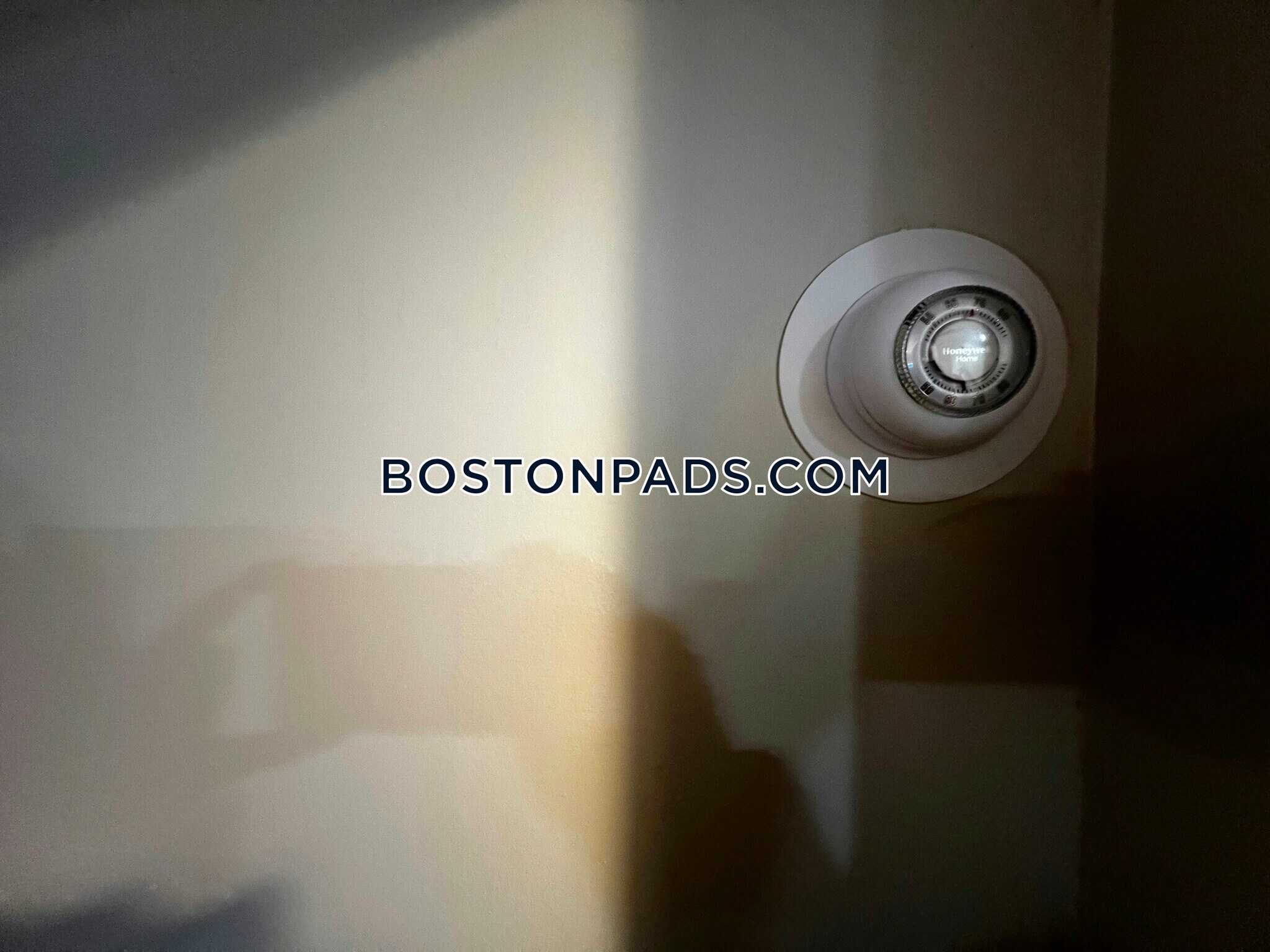 Building Photo - 12 Shepherd Ave