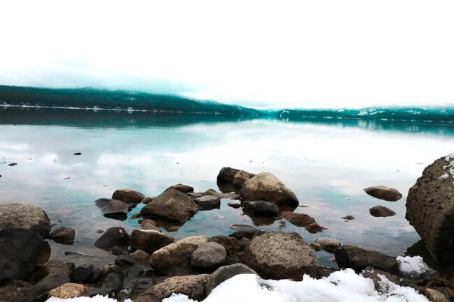 Building Photo - 712 Broken Rein Rd