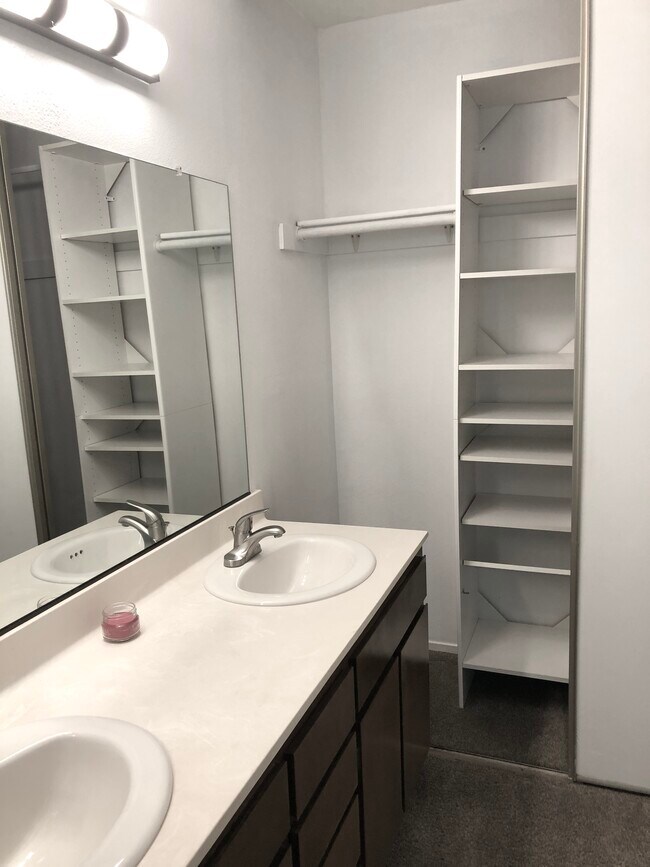 Primary BR Closet 2 & Double Vanity - 2405 Deer Tree Ct