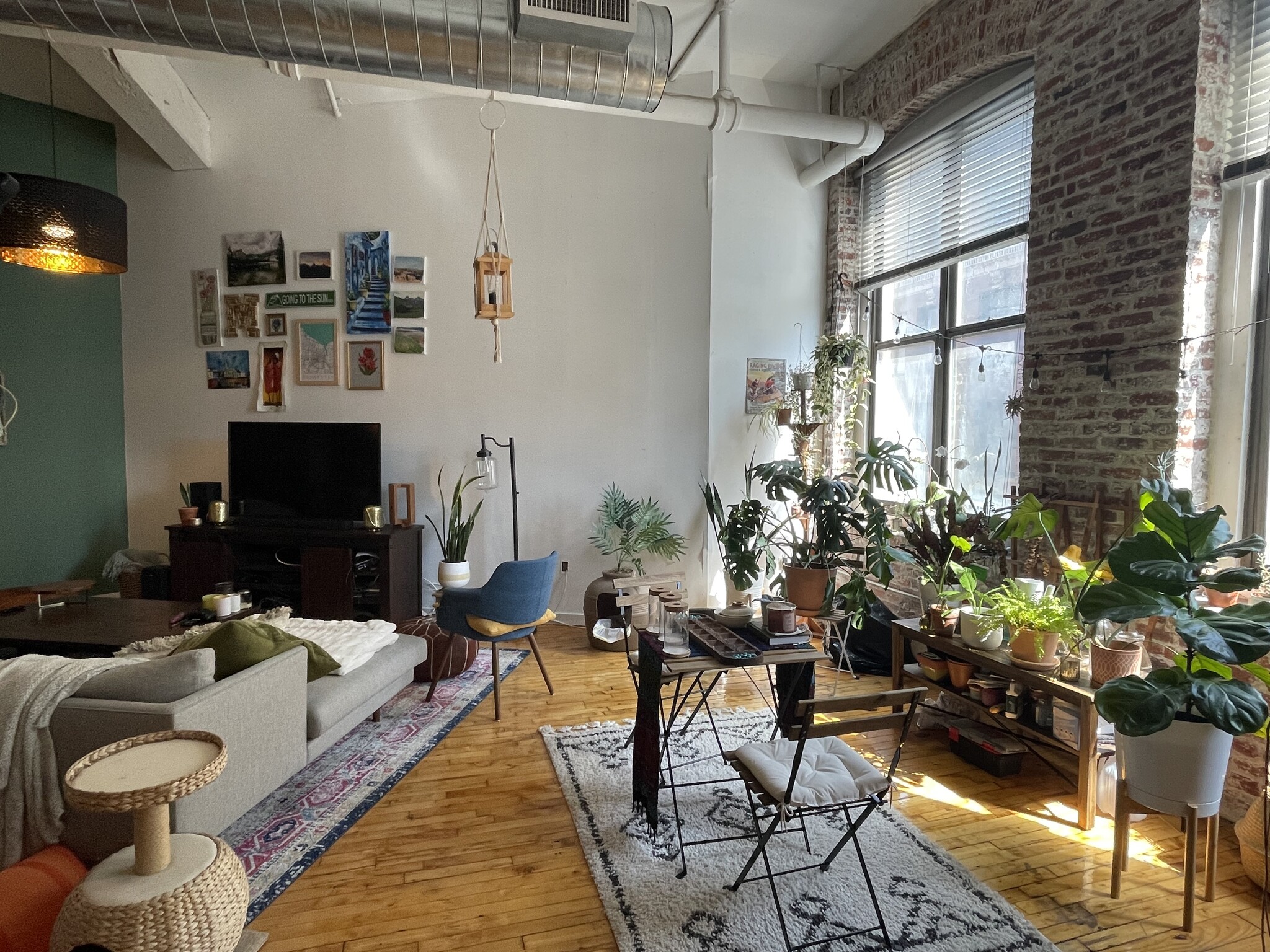 Living Room - 428 N 13th St