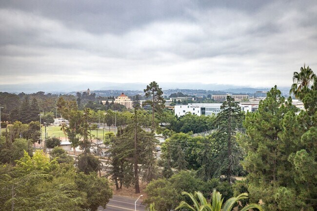 Building Photo - High Rise Living in the Heart of Downtown Palo Alto!