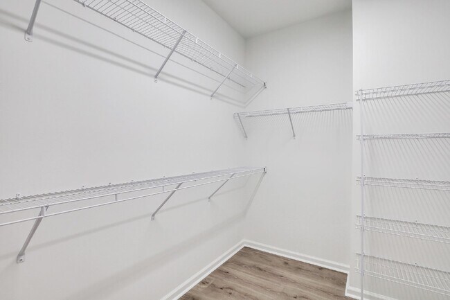 Building Photo - 165 Salty Fin Dr