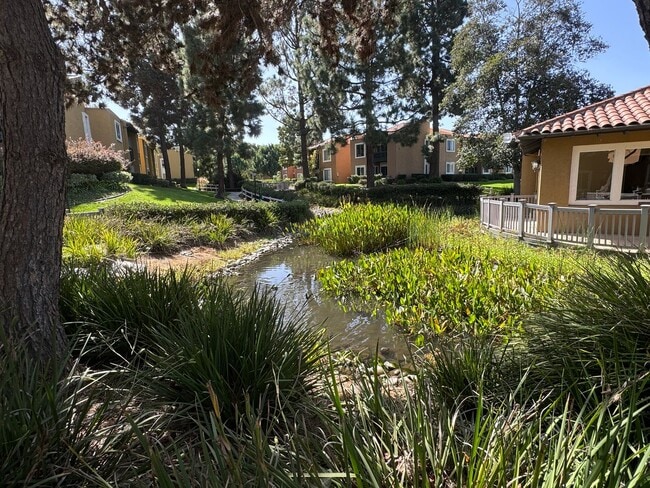 Building Photo - Rancho Bernardo Waterbridge Condos
