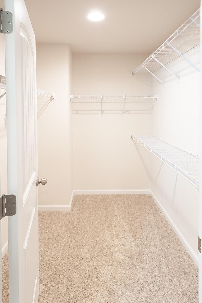 Building Photo - 220 Carvel Trl