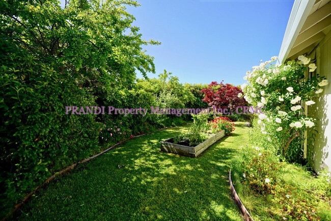 Building Photo - Gorgeous Home in Sought After Larkspur Nei...