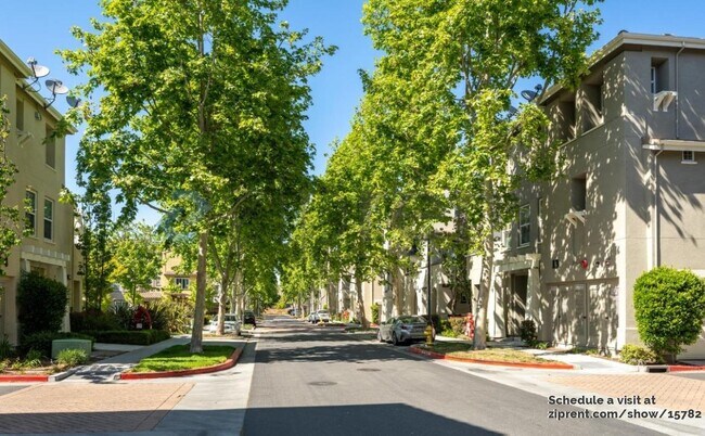 Building Photo - 4 Muller Pl