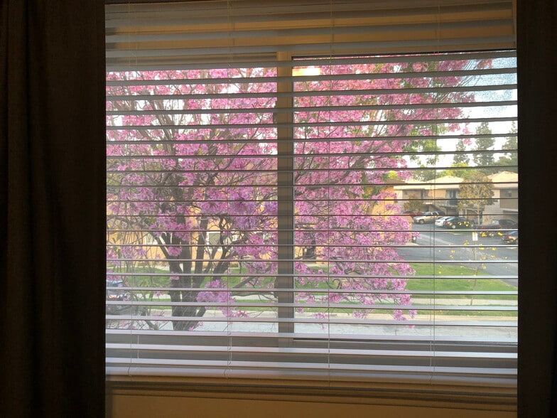 Building Photo - 1006 W Calle del Sol