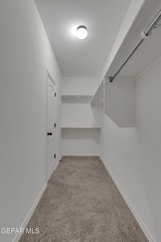 Building Photo - 2420 Tierra Delmonte Dr