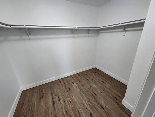 Building Photo - 5420 Shady Springs Trail