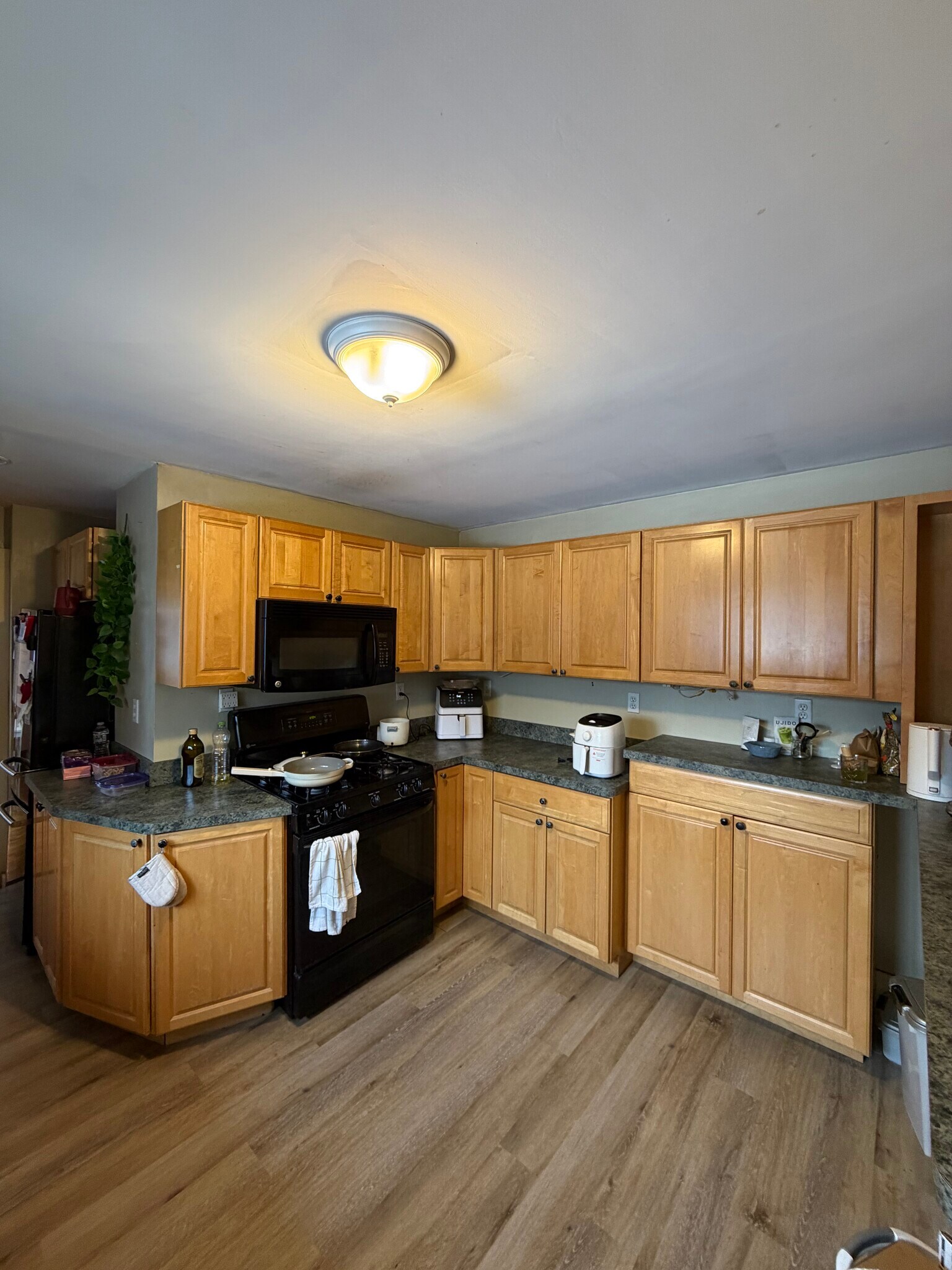 Building Photo - 229 Corey Rd