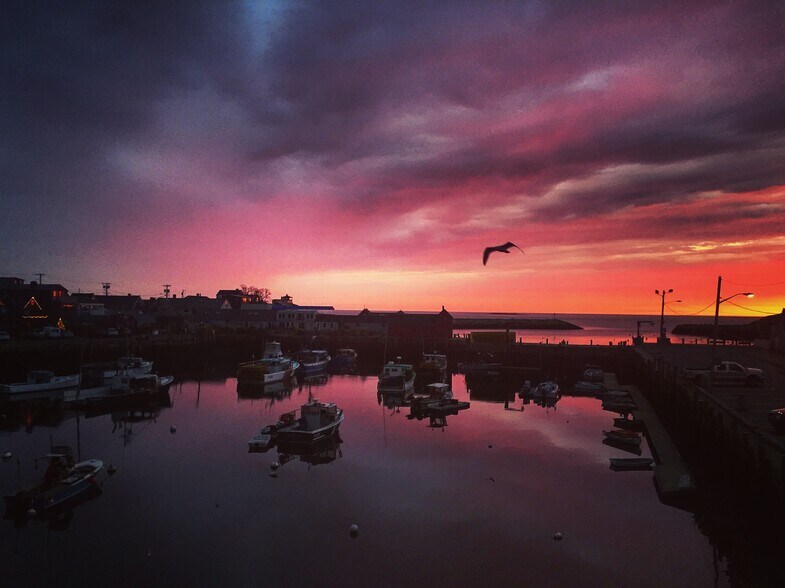 Rockport Harbor at Sunset (15 minute walk) - 1 White Way